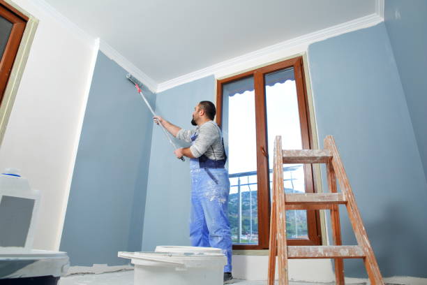 Best Asbestos and Lead Testing During Mold Inspection  in Algona, IA