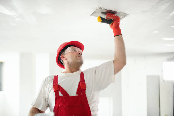 Best Mold Removal for HVAC Installations  in Algona, IA