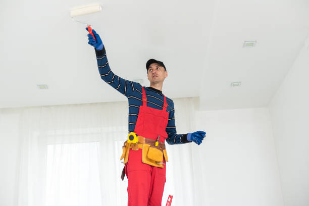 Best Residential Mold Inspection & Testing  in Algona, IA