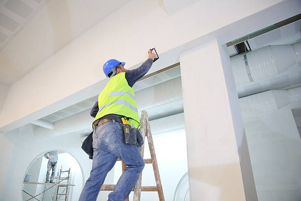 Best Biohazard Mold Removal  in Algona, IA
