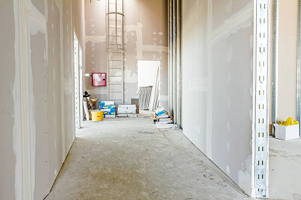Best Mold Odor Removal Services  in Algona, IA